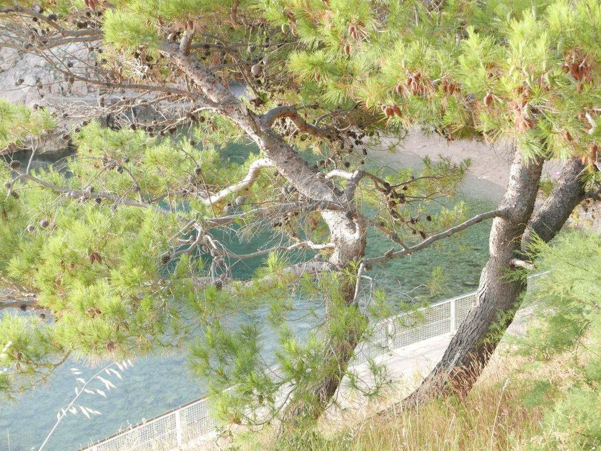 Appartamento Potocina 21 Vrbnik Esterno foto